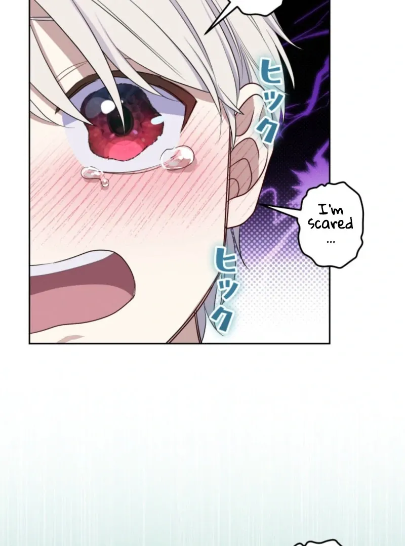 The Grim Reaper Duke’s Obsessive Contract Mother Chapter 33 page 29 - 