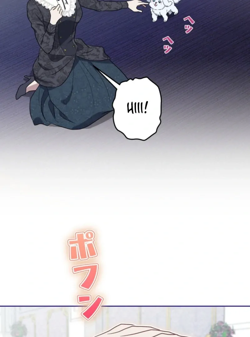 The Grim Reaper Duke’s Obsessive Contract Mother Chapter 38 page 33 - 