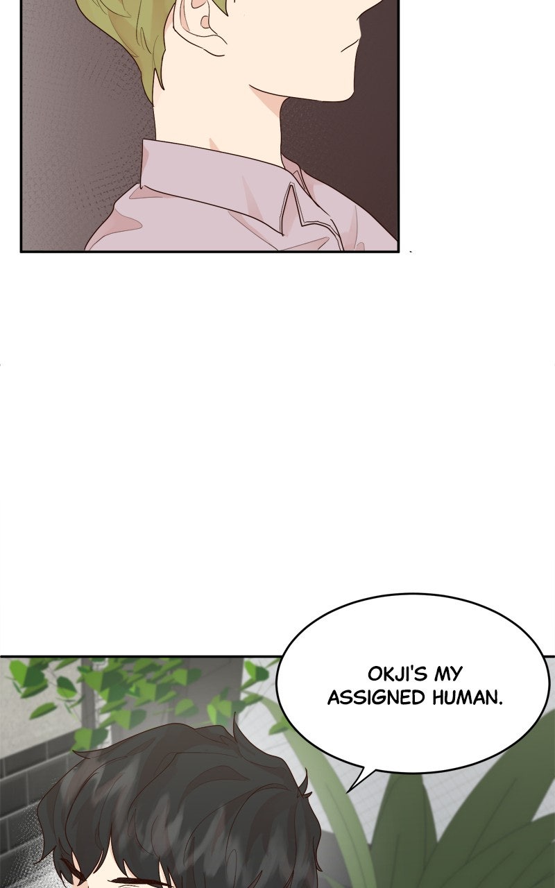 The Grim Reaper is My Guardian Ep. 10 - Bad Energy page 52 - 
