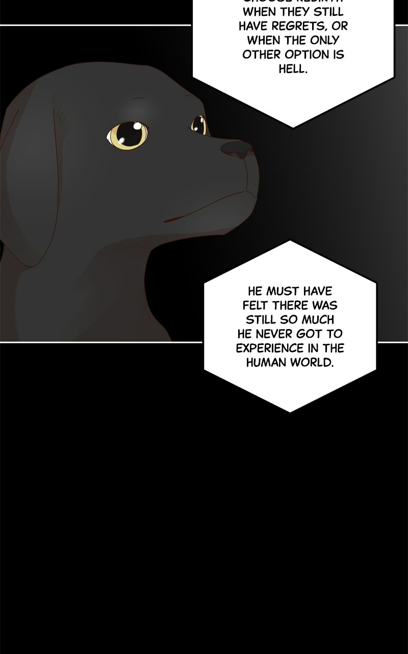 The Grim Reaper is My Guardian Ep. 33 - A Grim Reaper’s Duty (2) page 12 - 