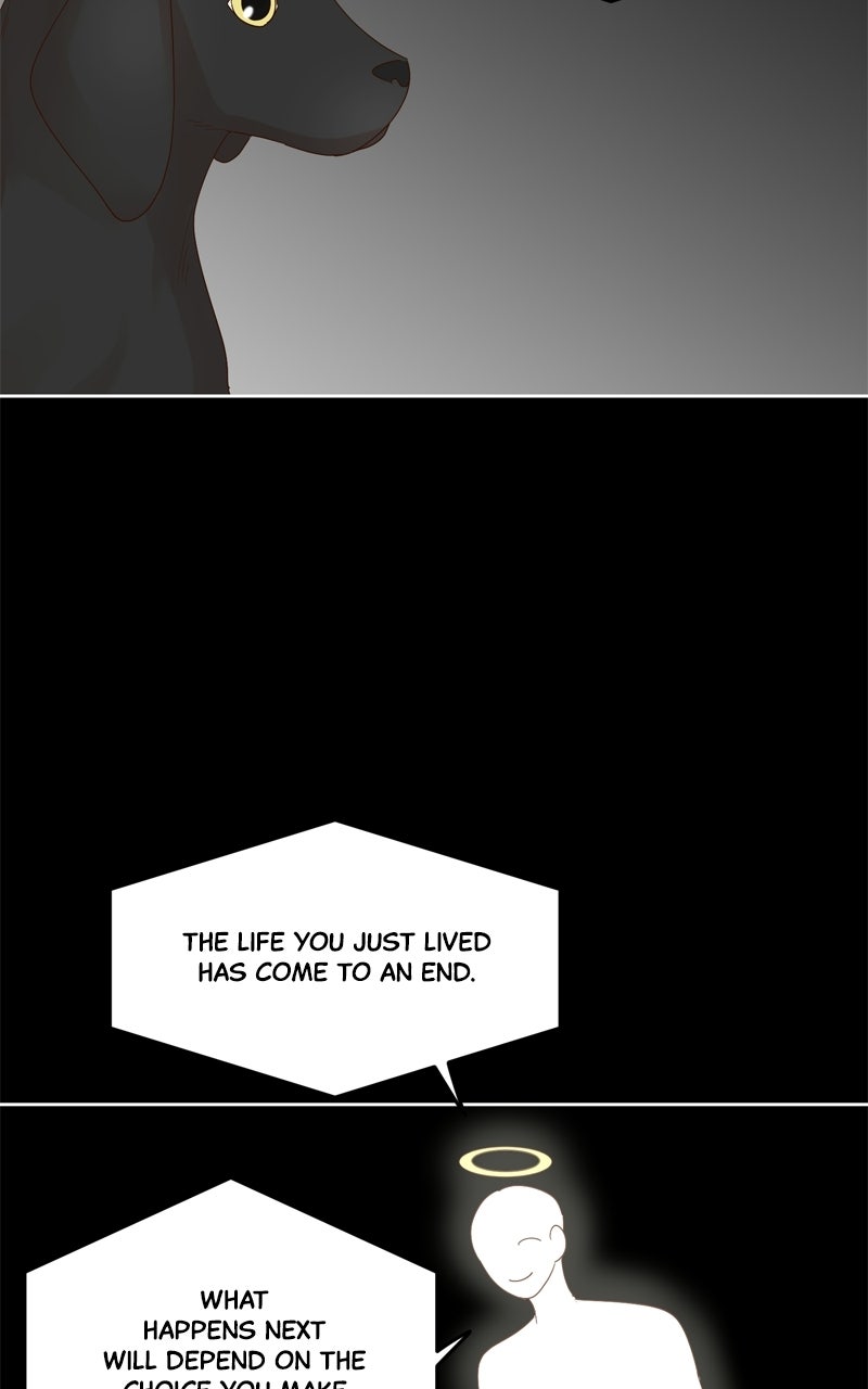 The Grim Reaper is My Guardian Ep. 33 - A Grim Reaper’s Duty (2) page 7 - 
