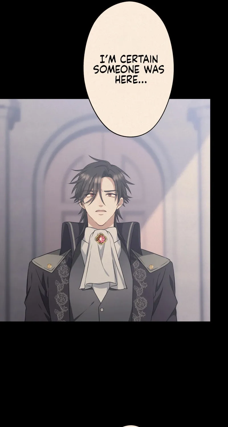 The Grim Reaper Young Lady Wants To Save Her Mastermind Older Brother Chapter 10 page 95 - 