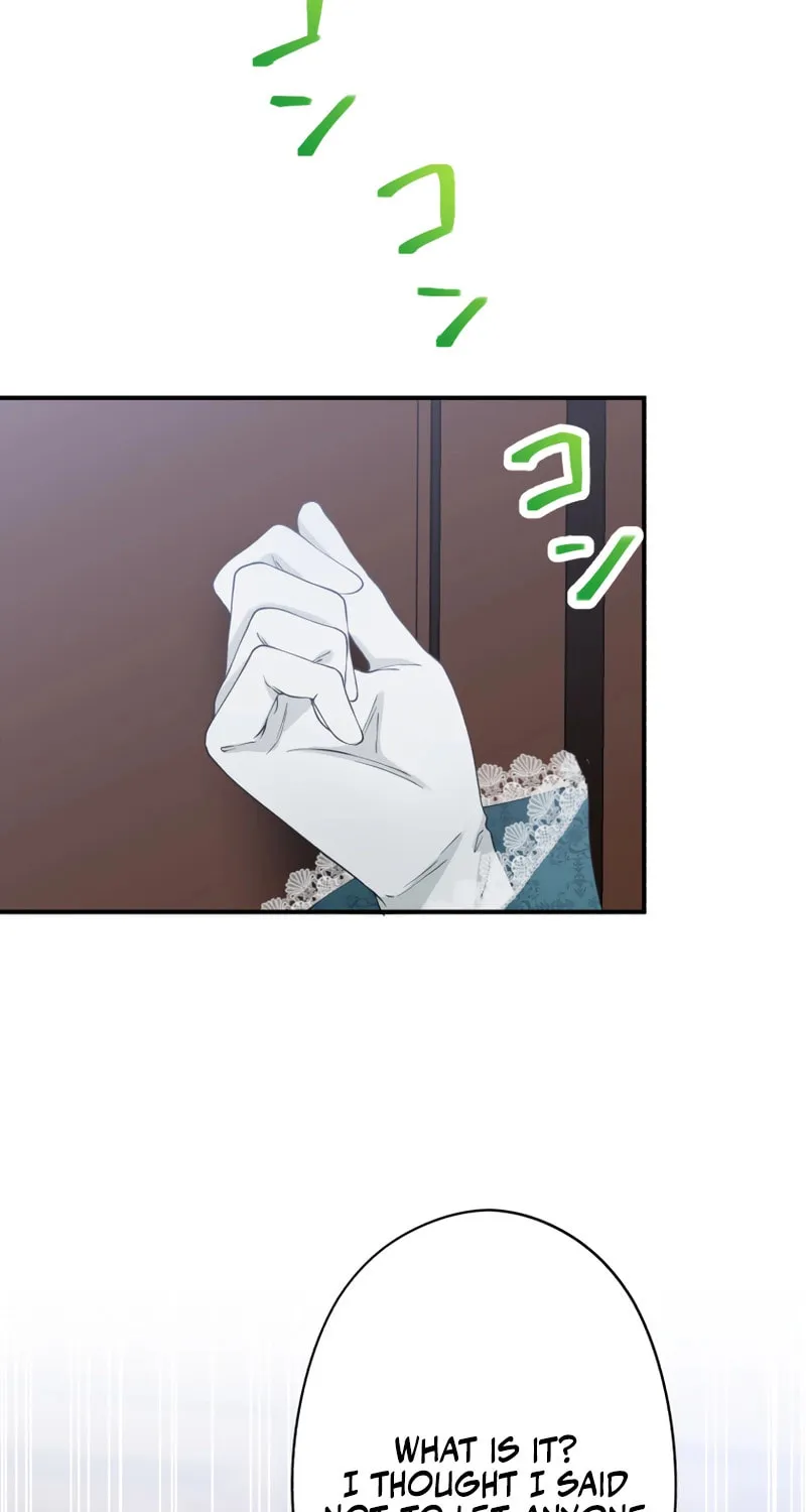 The Grim Reaper Young Lady Wants To Save Her Mastermind Older Brother Chapter 18 page 71 - 
