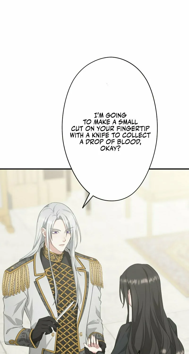 The Grim Reaper Young Lady Wants To Save Her Mastermind Older Brother Chapter 21 page 11 - 