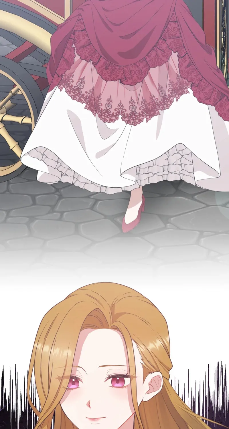 The Grim Reaper Young Lady Wants To Save Her Mastermind Older Brother Chapter 23 page 3 - 