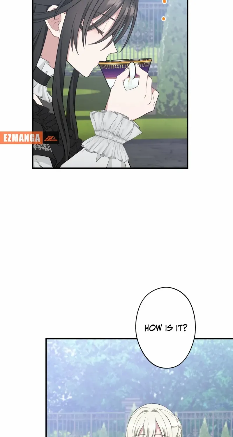 The Grim Reaper Young Lady Wants To Save Her Mastermind Older Brother Chapter 26 page 24 - 