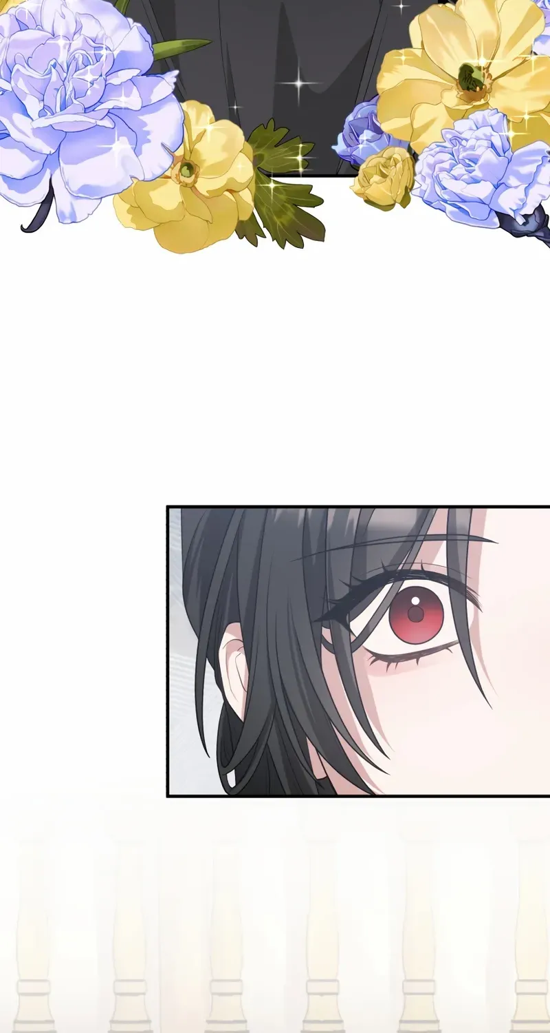 The Grim Reaper Young Lady Wants To Save Her Mastermind Older Brother Chapter 27 page 13 - 