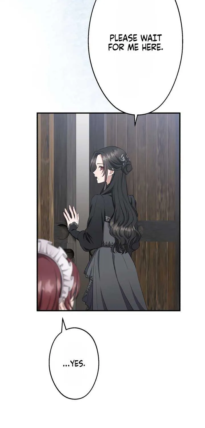 The Grim Reaper Young Lady Wants To Save Her Mastermind Older Brother Chapter 3 page 27 - 