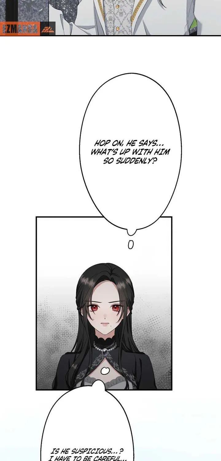 The Grim Reaper Young Lady Wants To Save Her Mastermind Older Brother Chapter 3 page 66 - 