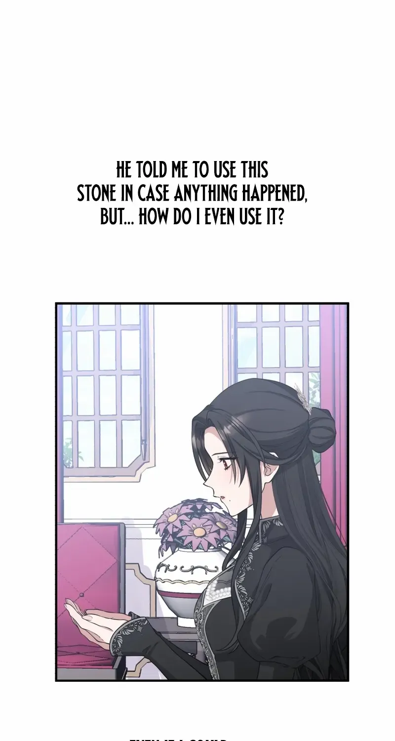 The Grim Reaper Young Lady Wants To Save Her Mastermind Older Brother Chapter 33 page 29 - 