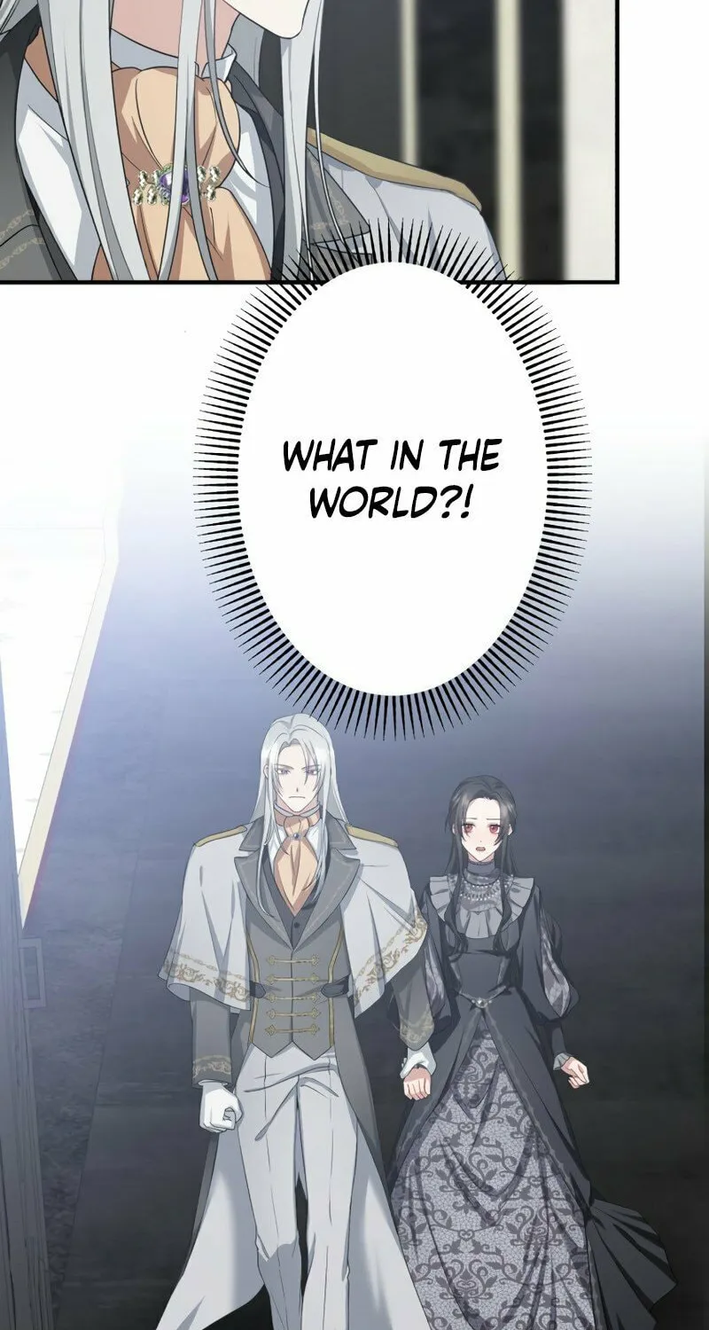 The Grim Reaper Young Lady Wants To Save Her Mastermind Older Brother Chapter 5 page 69 - 