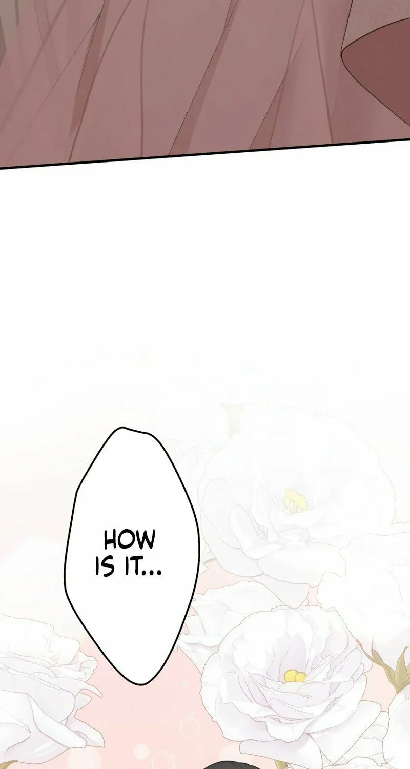 The Grim Reaper Young Lady Wants To Save Her Mastermind Older Brother Chapter 5 page 86 - 
