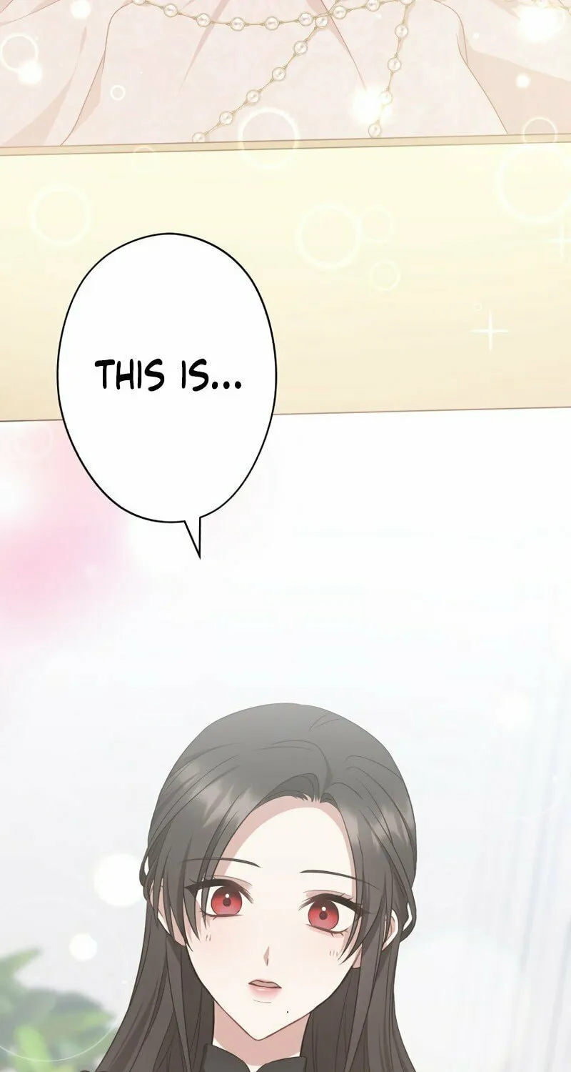 The Grim Reaper Young Lady Wants To Save Her Mastermind Older Brother Chapter 6 page 16 - 