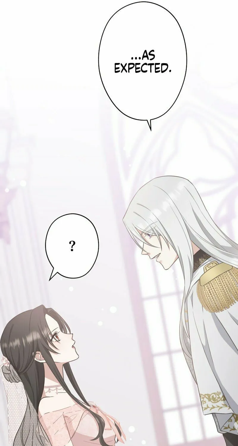 The Grim Reaper Young Lady Wants To Save Her Mastermind Older Brother Chapter 6 page 48 - 