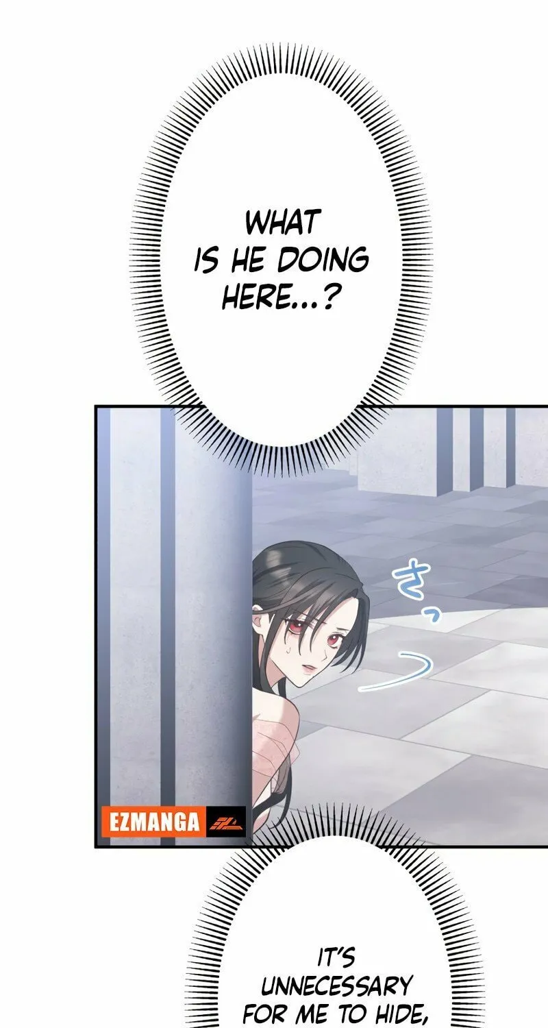 The Grim Reaper Young Lady Wants To Save Her Mastermind Older Brother Chapter 7 page 64 - 