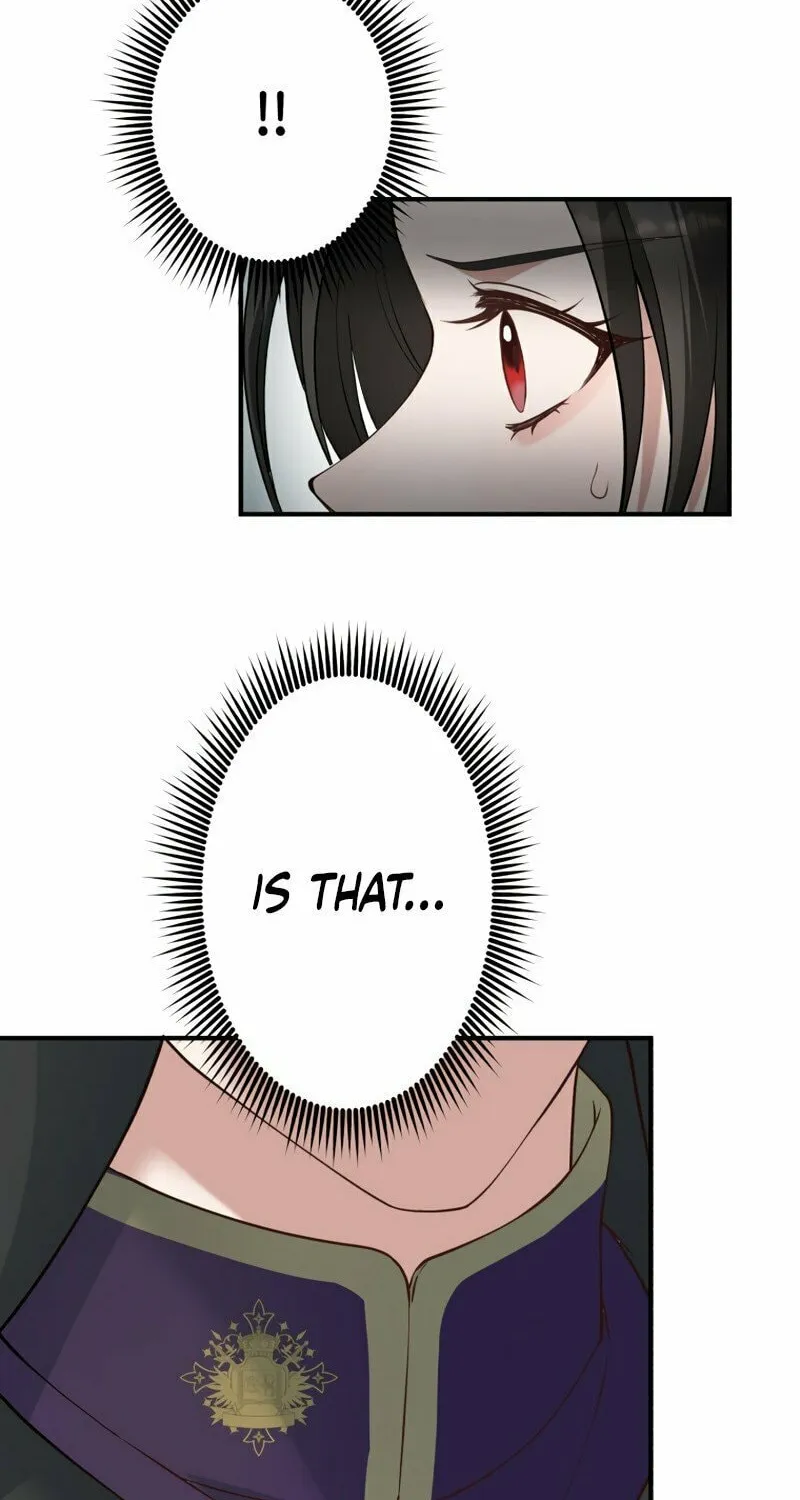 The Grim Reaper Young Lady Wants To Save Her Mastermind Older Brother Chapter 7 page 73 - 