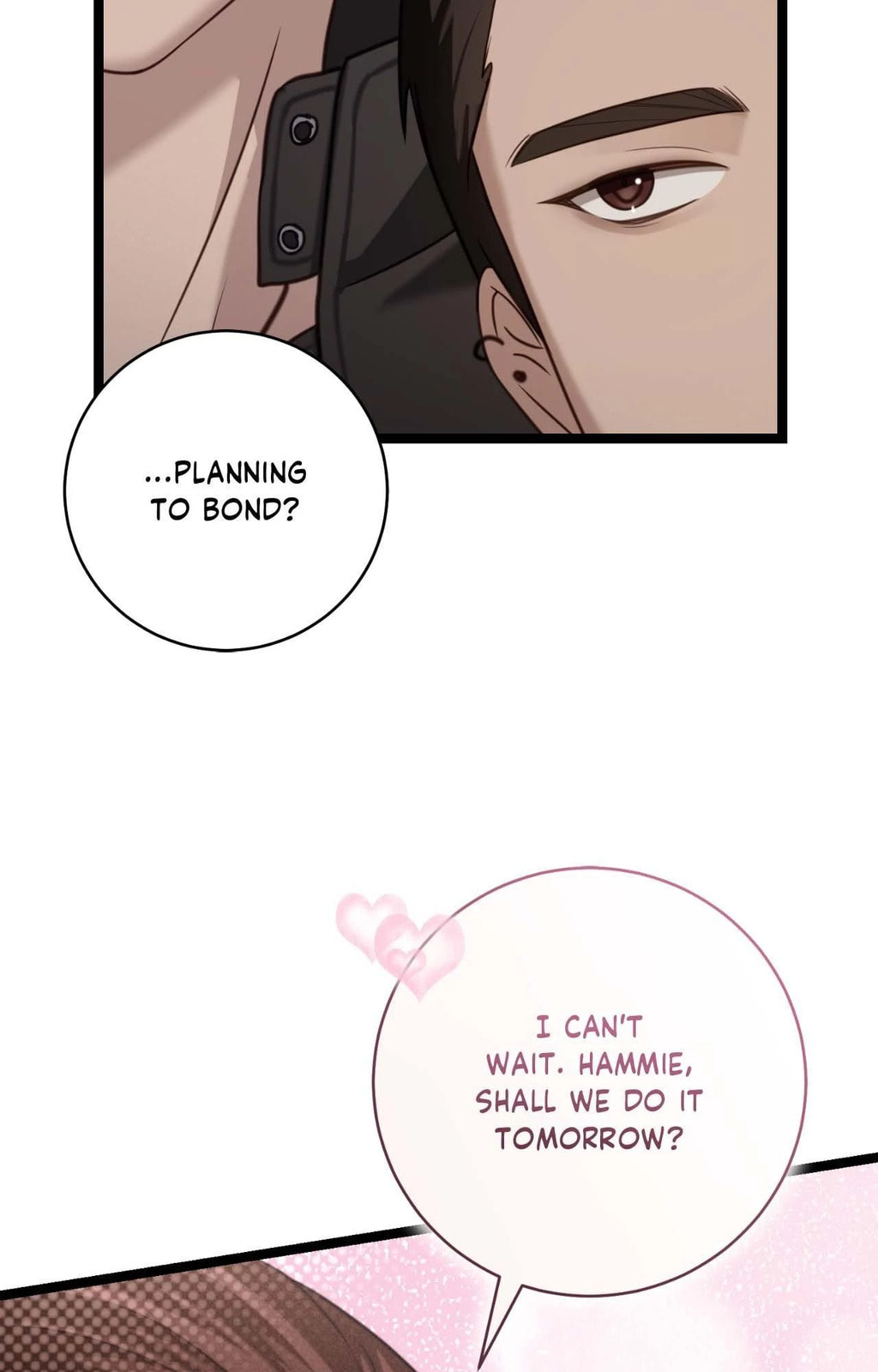 The Guide