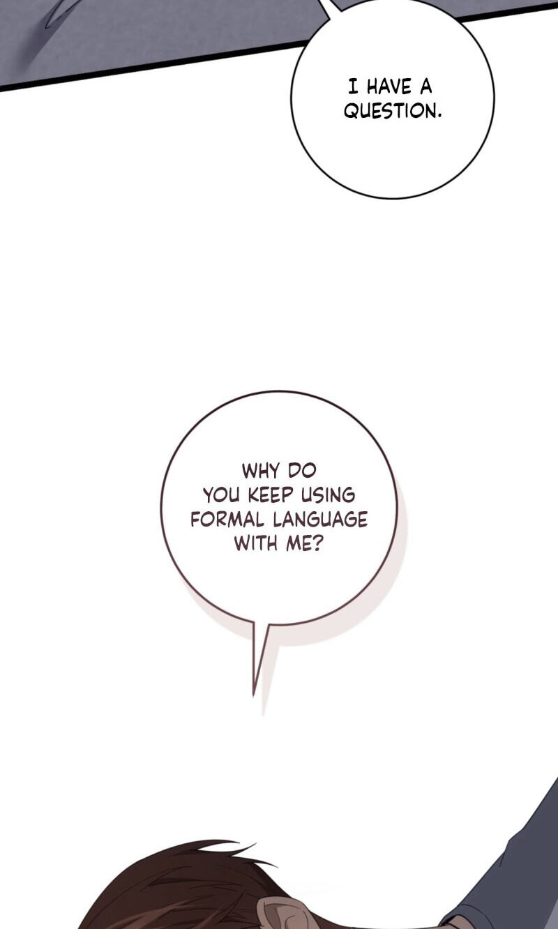 The Guide