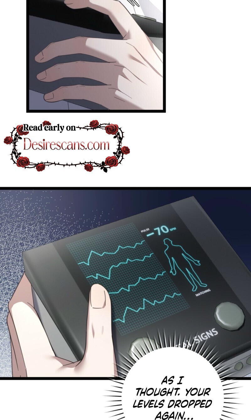 The Guide