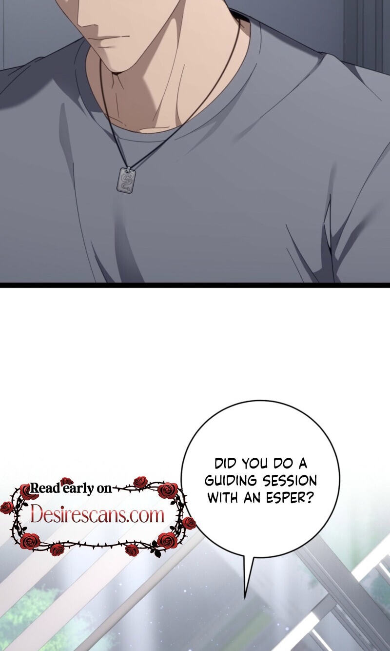 The Guide