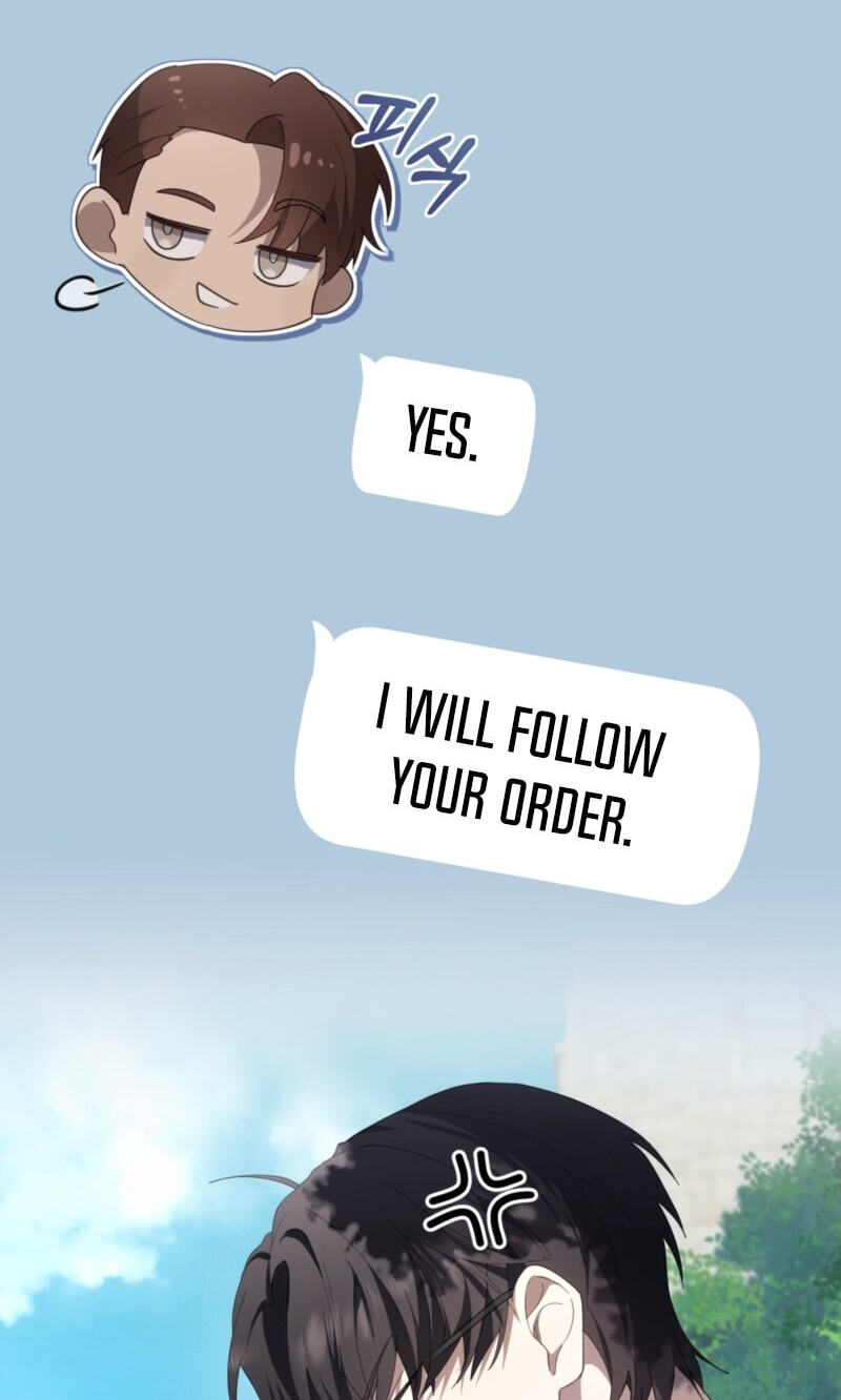 The Guide