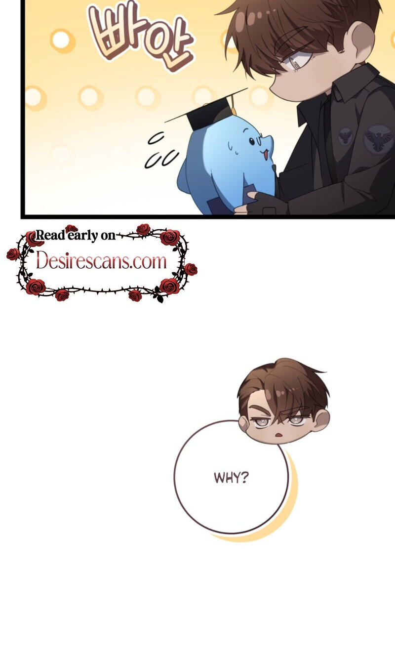The Guide