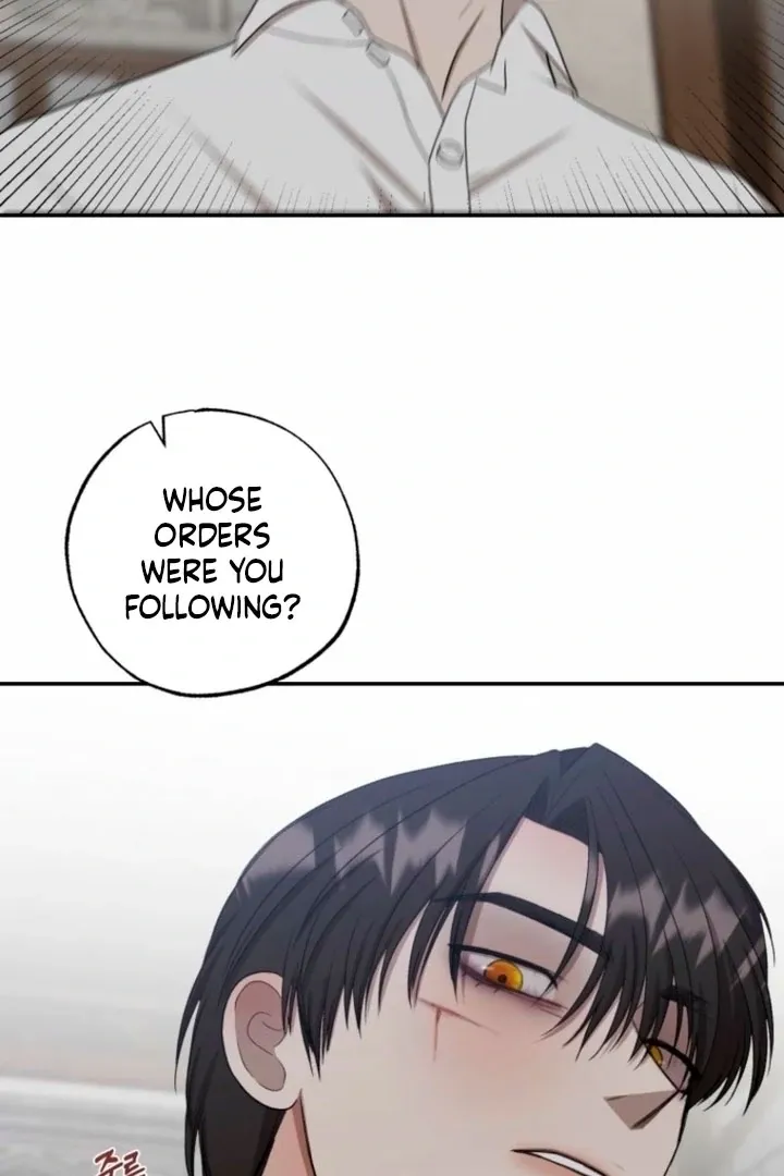 The Hand That Once Fed Chapter 40 page 34 - 