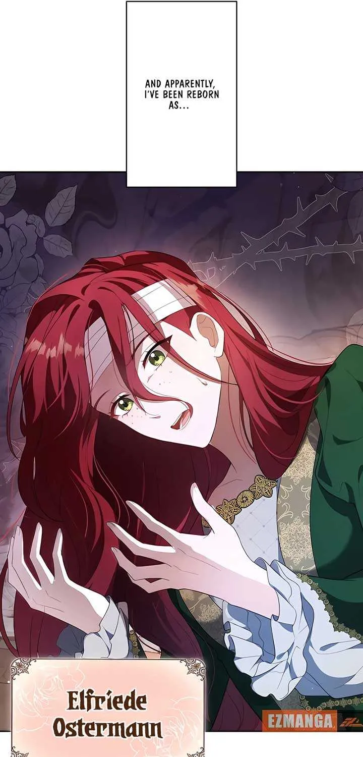 The Hated Noble Lady, Yet in a Contract Marriage with the First Prince?! Chapter 1 page 36 - 