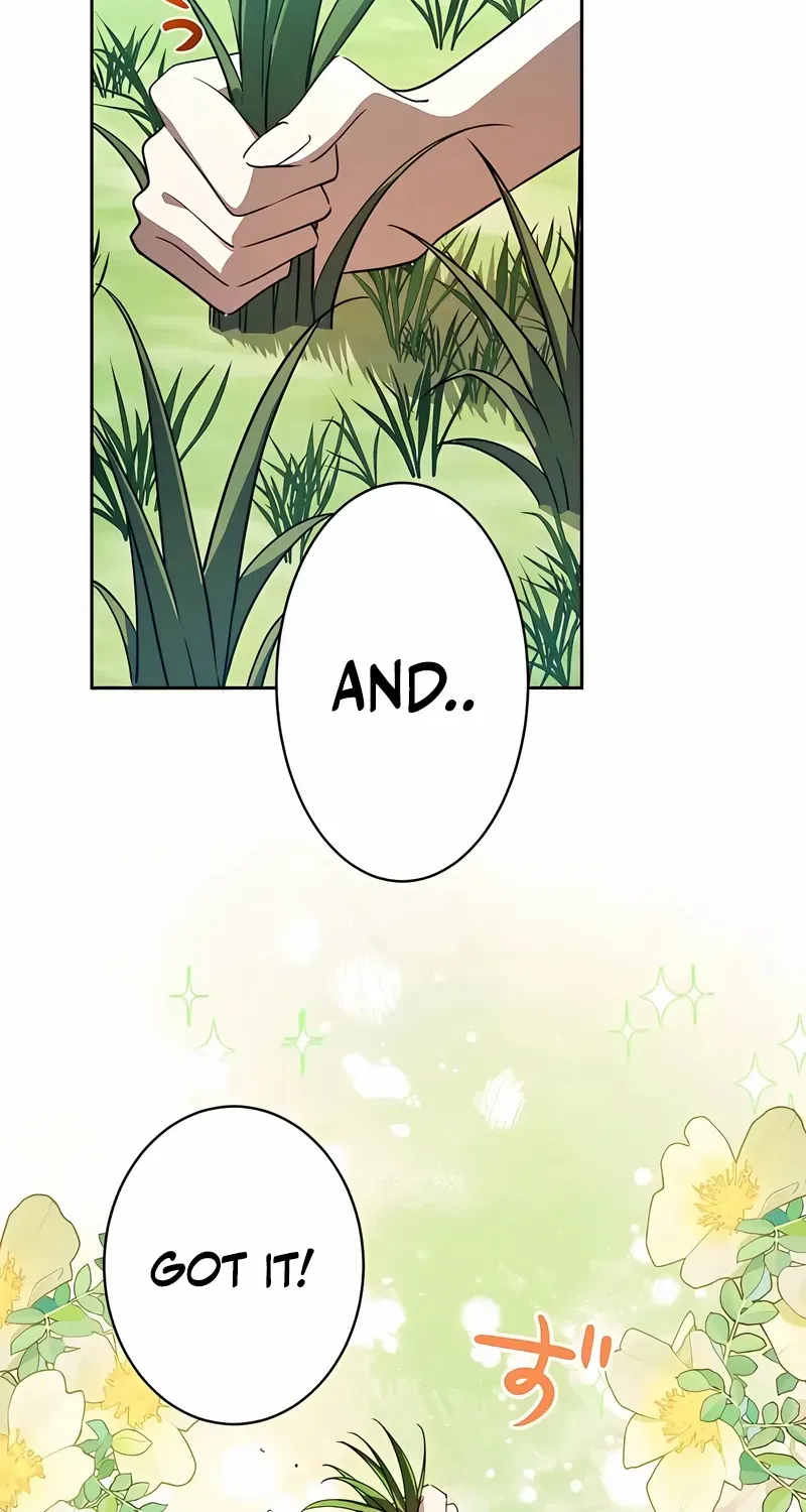 The Hated Noble Lady, Yet in a Contract Marriage with the First Prince?! Chapter 18 page 24 - 