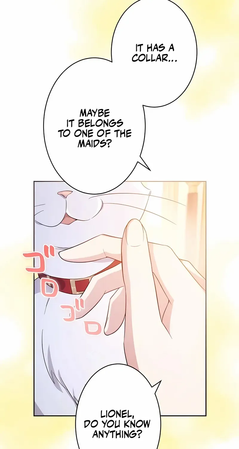 The Hated Noble Lady, Yet in a Contract Marriage with the First Prince?! Chapter 9 page 74 - 