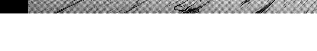The Hawk God And The Pitiful Sacrifice Chapter 10 page 41 - 