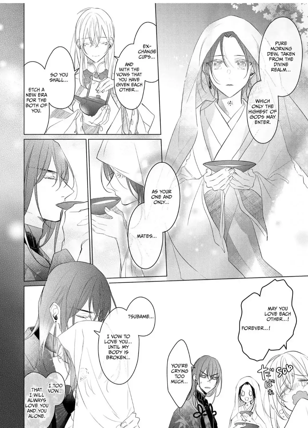 The Hawk God And The Pitiful Sacrifice Chapter 16 page 16 - 