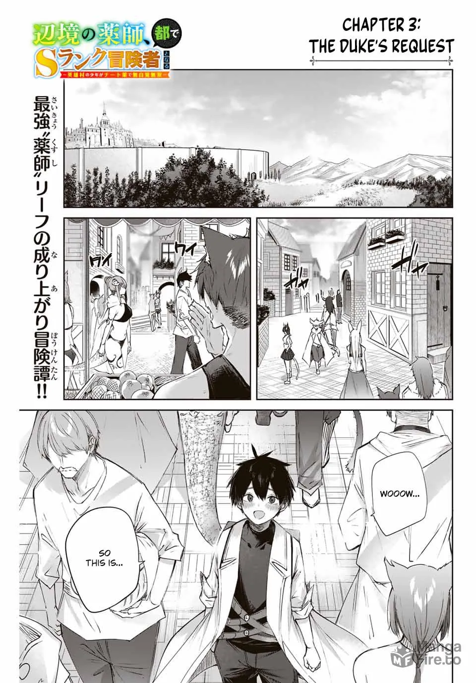 The Healer Ditches the Boonies to Become an S-Rank Adventurer: The Boy from the Hero’s Village Doesn’t Know His Cheat Medicine Is Unrivaled Chapter 3 page 3 - 