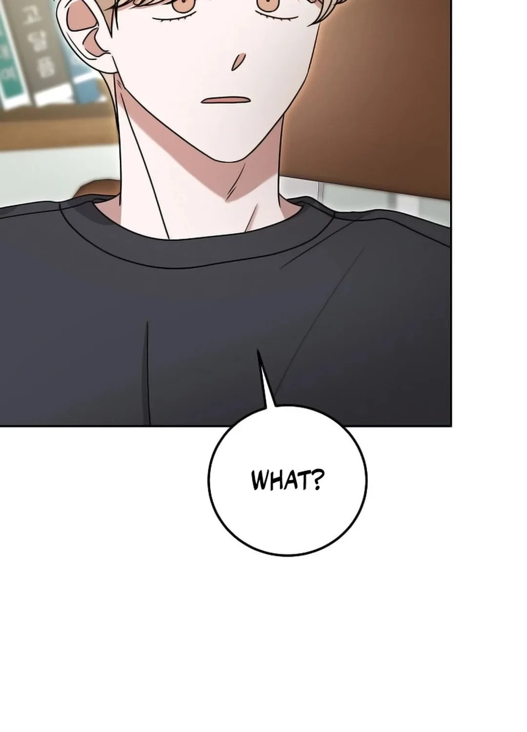 The Heavenly Demon Became an Idol Chapter 15 page 24 - 