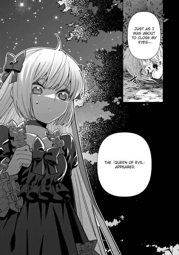 The Heinous Villainess