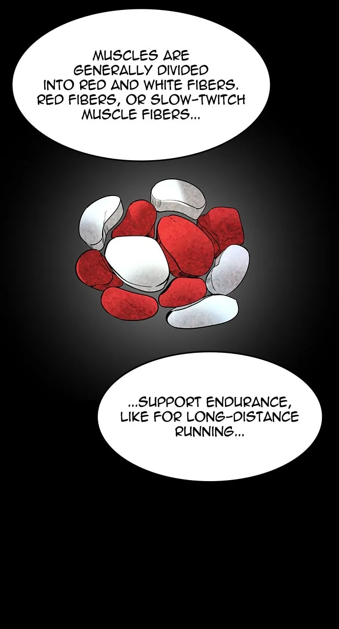 The Heir Chapter 45 page 17 - 