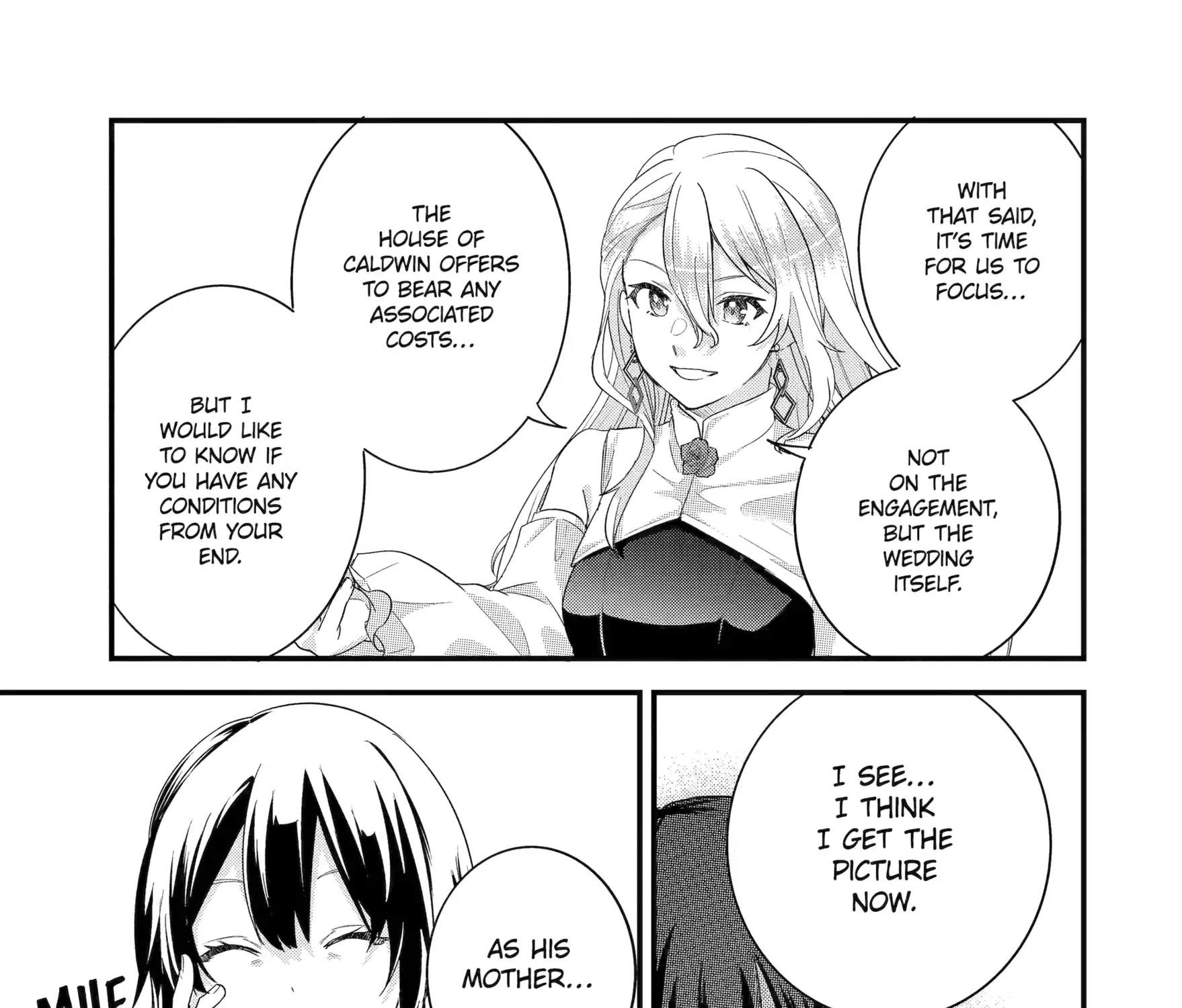 The Hero and the Sage, Reincarnated and Engaged Chapter 33.2 page 3 - 