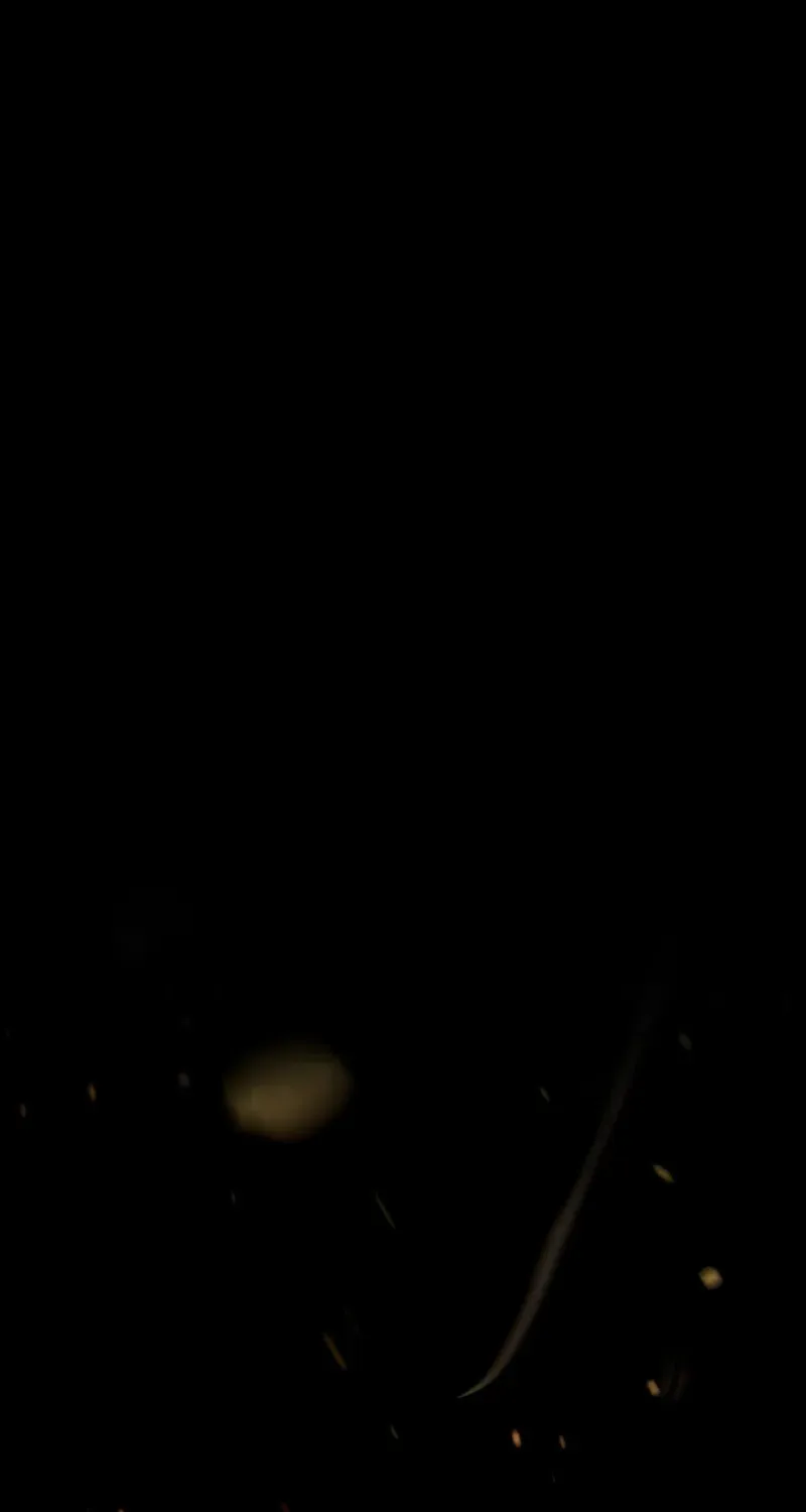 The Hero Starts Over at the Academy Chapter 3 page 75 - 