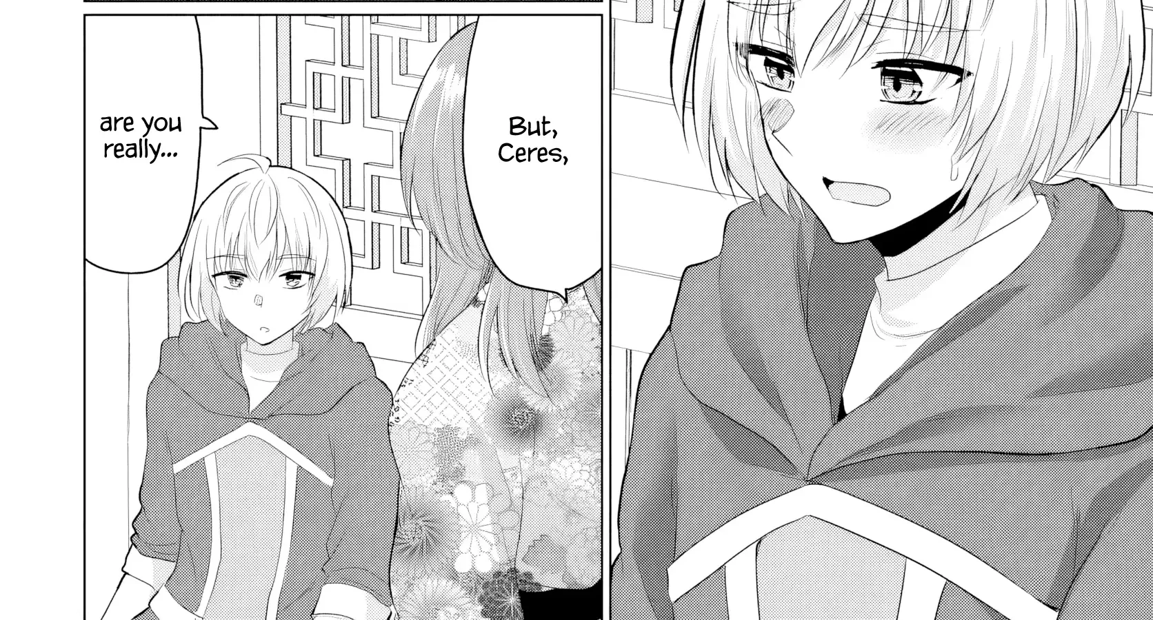 The Hero Took Everything from Me, So I Partied with the Hero’s Mother! Chapter 21 page 34 - 