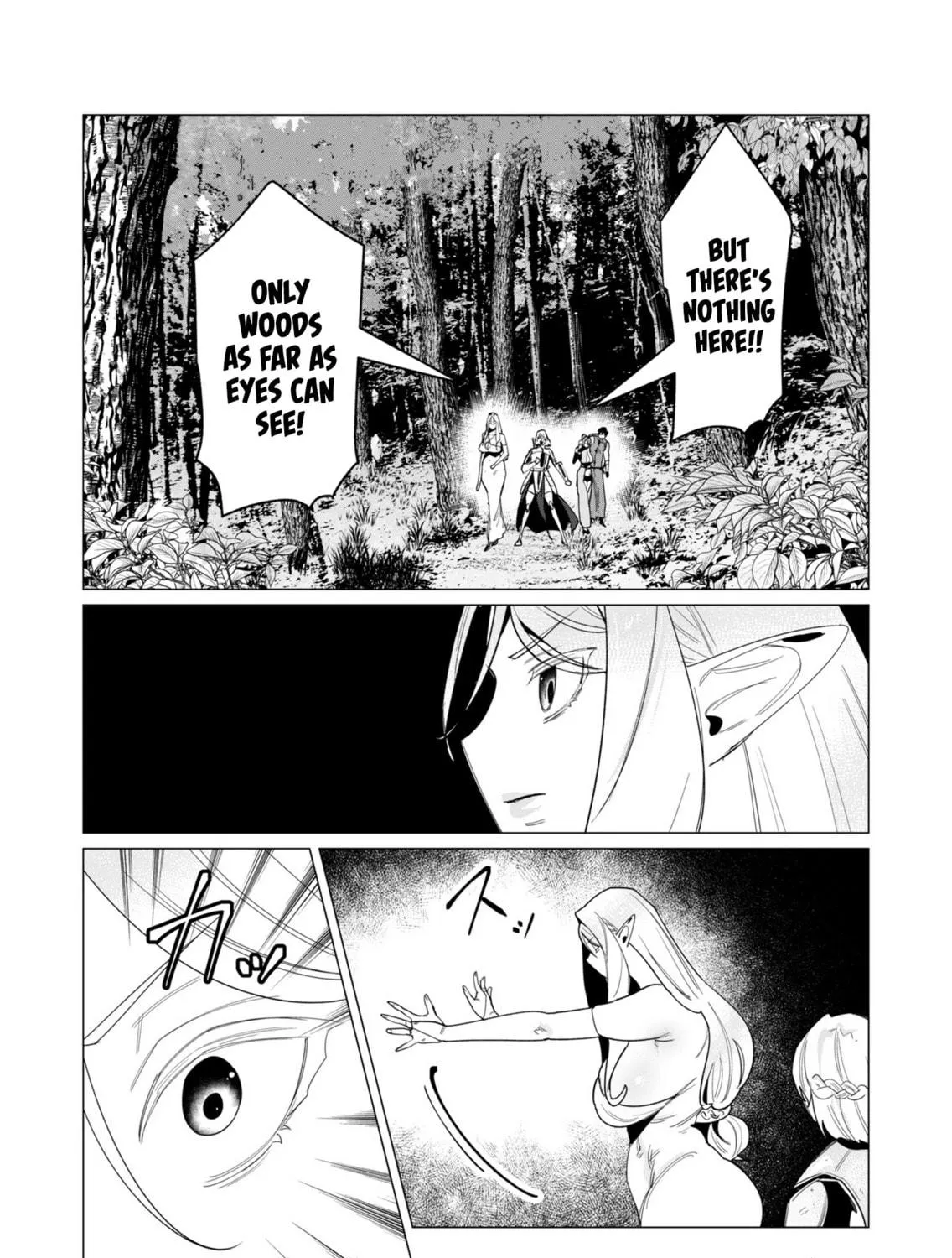 The Hero Wants a Married Woman as a Reward Chapter 15 page 11 - 