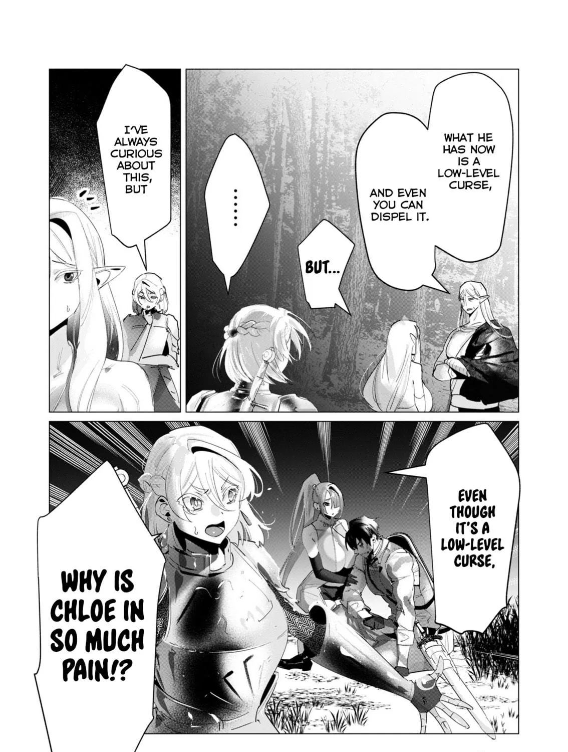 The Hero Wants a Married Woman as a Reward Chapter 17 page 11 - 