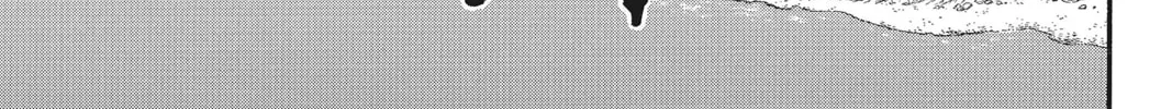 The Heroic Legend of Arslan Chapter 42 page 52 - 