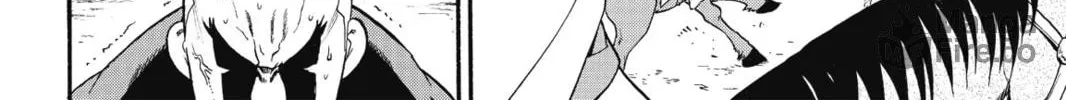 The Heroic Legend of Arslan Chapter 9 page 24 - 