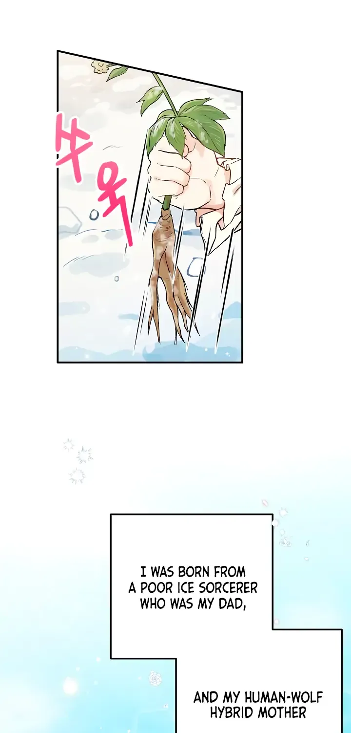 The Heroine Wants Me As Her Sister-in-Law Chapter 1 page 2 - 