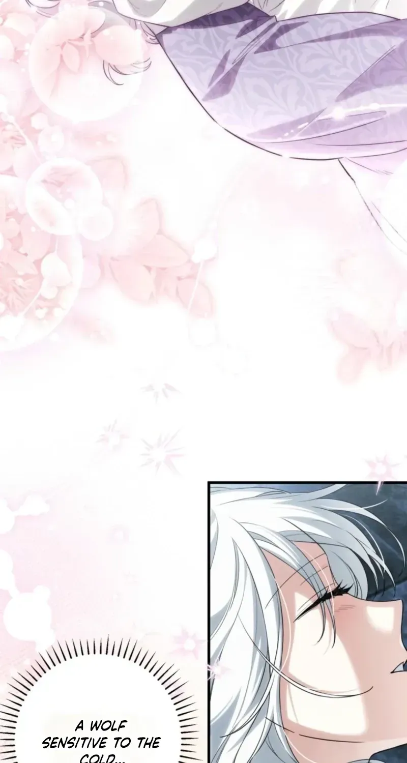 The Heroine Wants Me As Her Sister-in-Law Chapter 100 page 13 - 