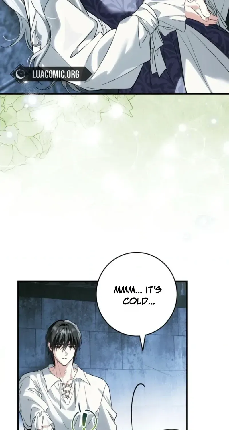 The Heroine Wants Me As Her Sister-in-Law Chapter 100 page 10 - 