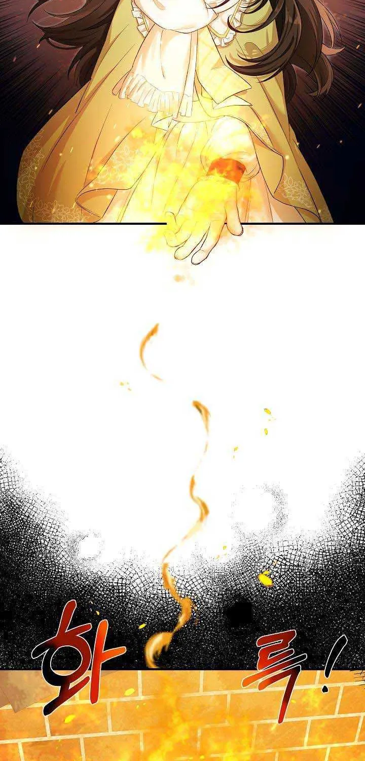The Heroine Wants Me As Her Sister-in-Law Chapter 11 page 24 - 