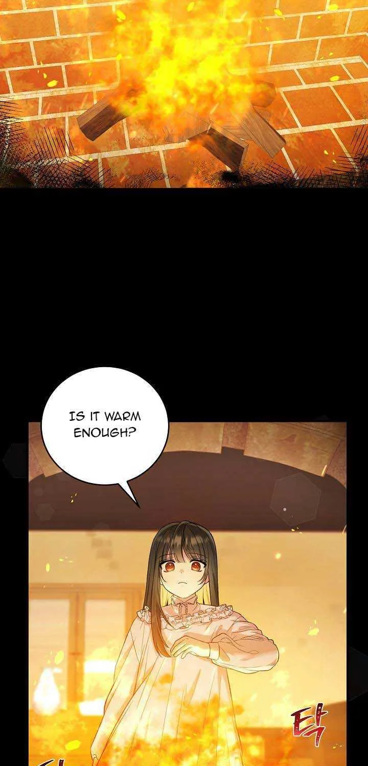 The Heroine Wants Me As Her Sister-in-Law Chapter 11 page 25 - 