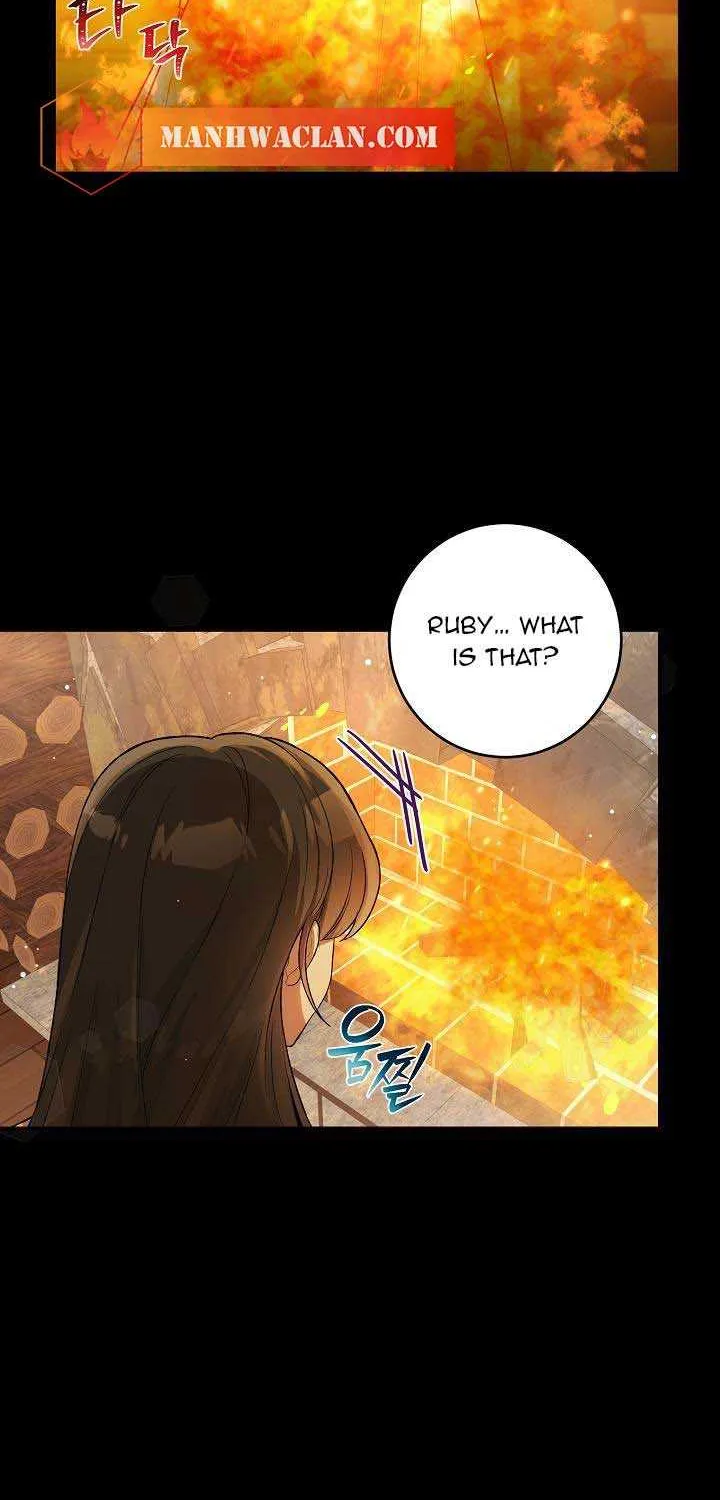 The Heroine Wants Me As Her Sister-in-Law Chapter 11 page 26 - 