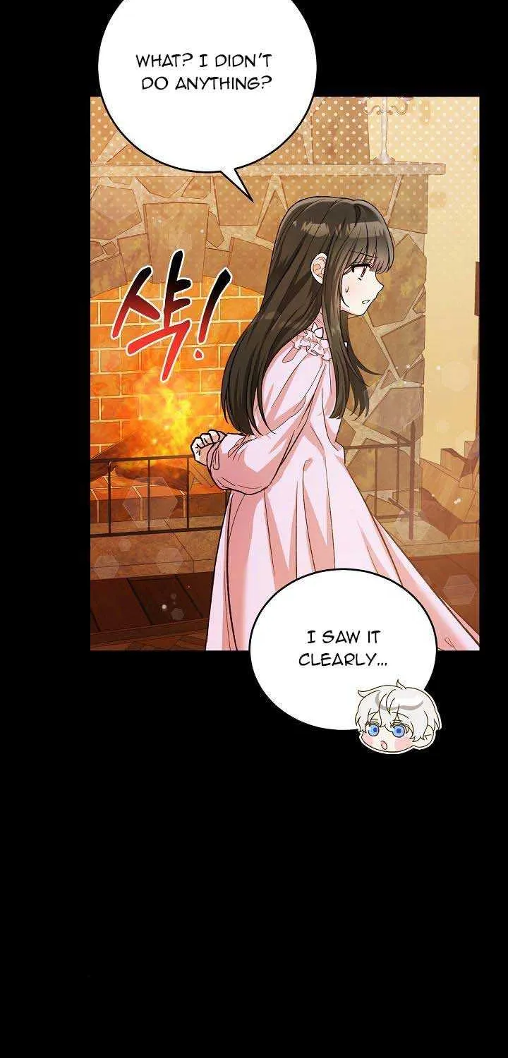 The Heroine Wants Me As Her Sister-in-Law Chapter 11 page 28 - 